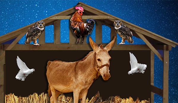 the-little-donkey-who-said-yes the-little-donkey-who-said-yes